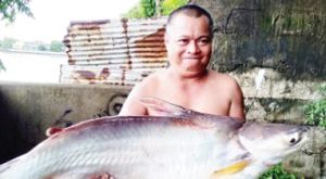 ‘Monster fish’ in polluted Pasig River explained